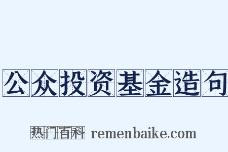 公众投资基金造句是什么意思的图片